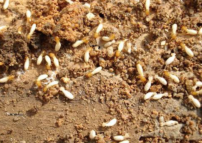 1588222834852698.jpg 案例3.jpg