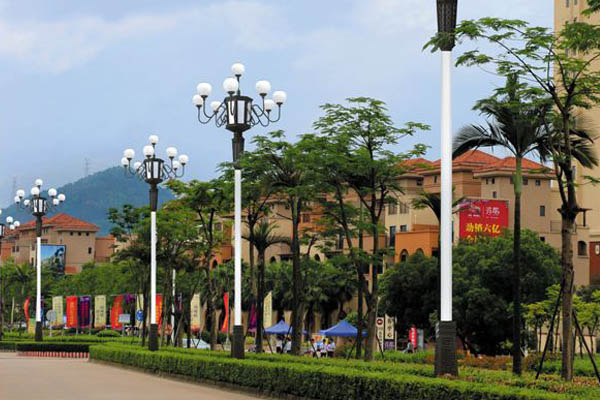 1588825313749990.jpg 50.jpg