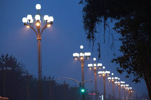 1588825320862460.jpg 40.jpg