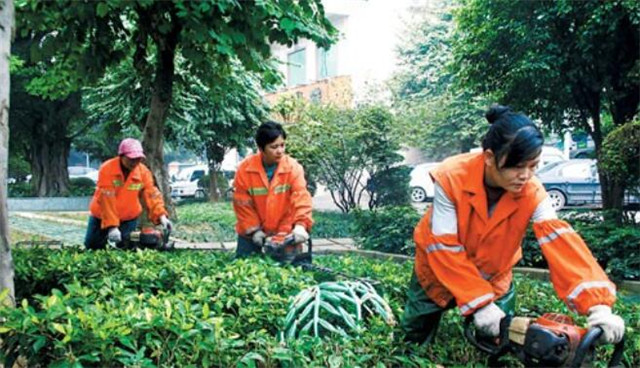 1588923369672561.jpg 緑化2.jpg