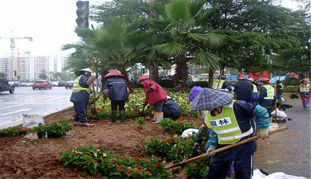 1588923412227840.jpg 緑化5.jpg