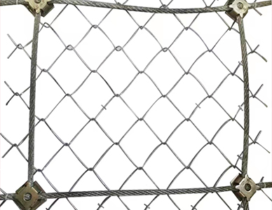 1773640652330210.jpg 9.jpg