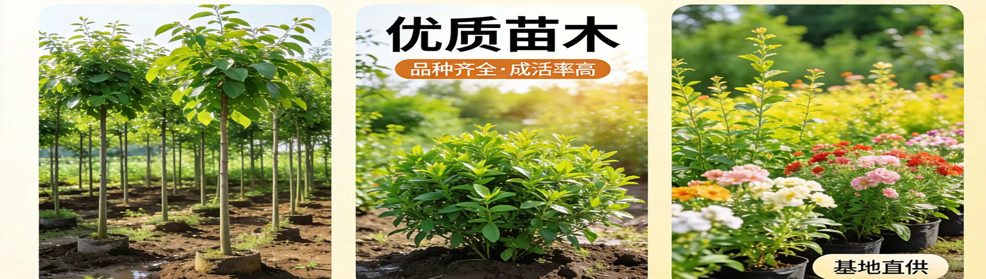 1774424210448177.jpg 未标题-1.jpg